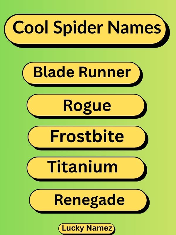 Cool Spider Names