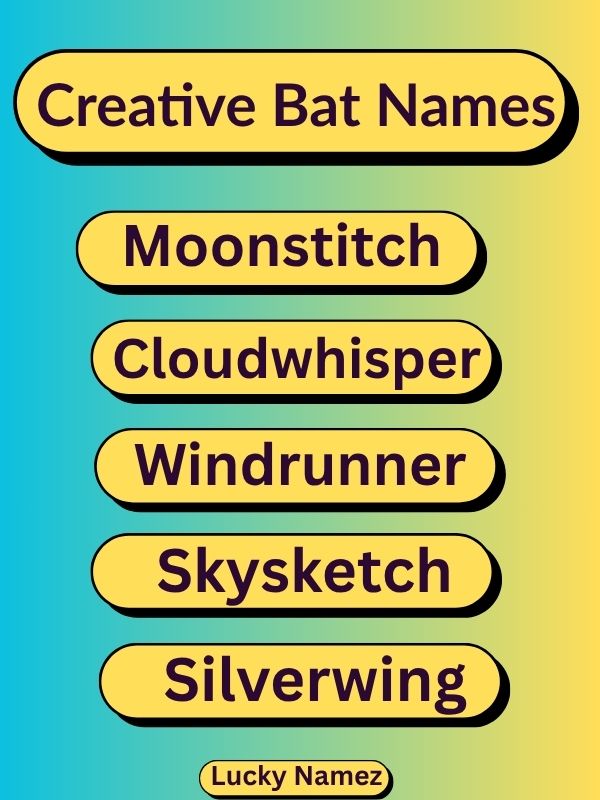 Creative Bat Names