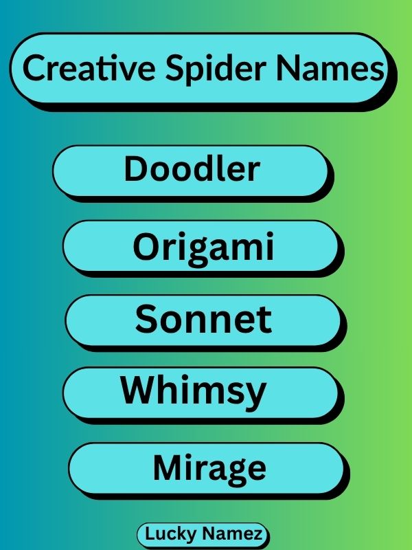 Creative Spider Names