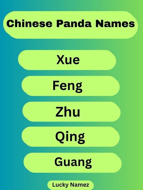 Chinese Panda Names