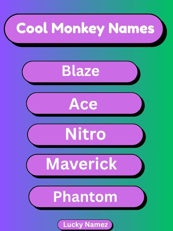 Cool Monkey Names
