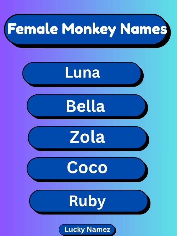 Female Monkey Names