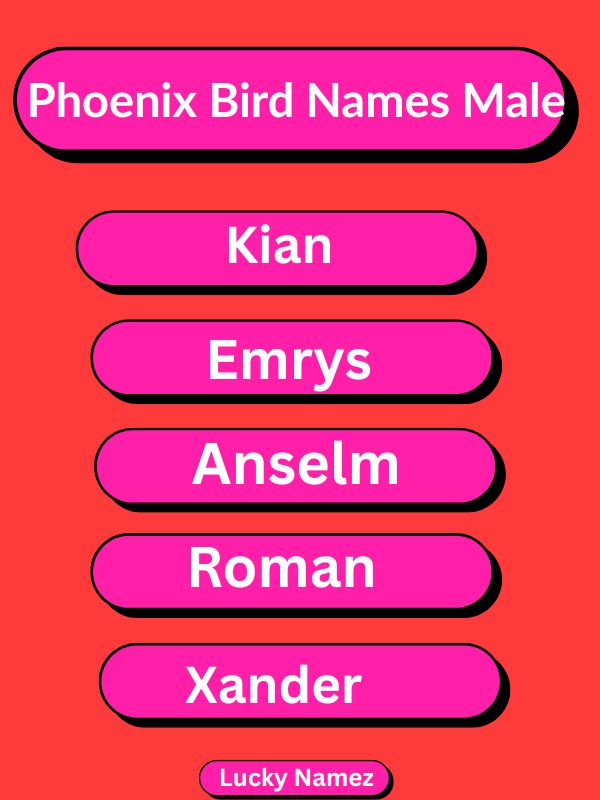 Phoenix Bird Names Male