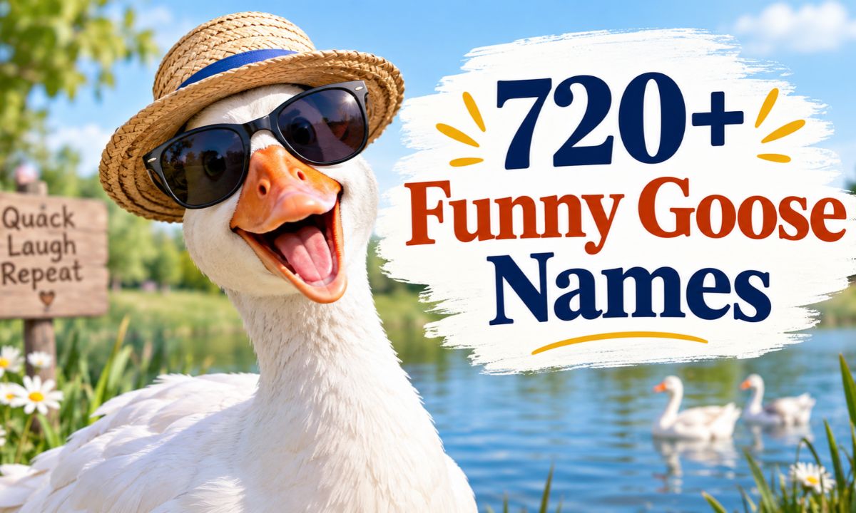 720+ Funny Goose Names